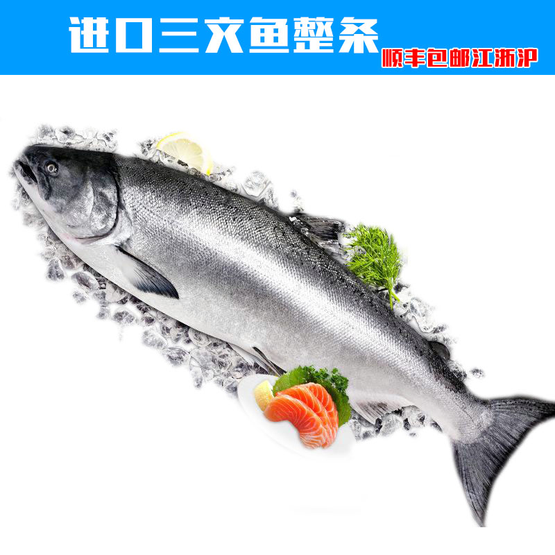 鲜冻智利三文鱼整条约13斤 低温烹饪 顺丰包邮江浙沪皖 可代轮切 - 沃