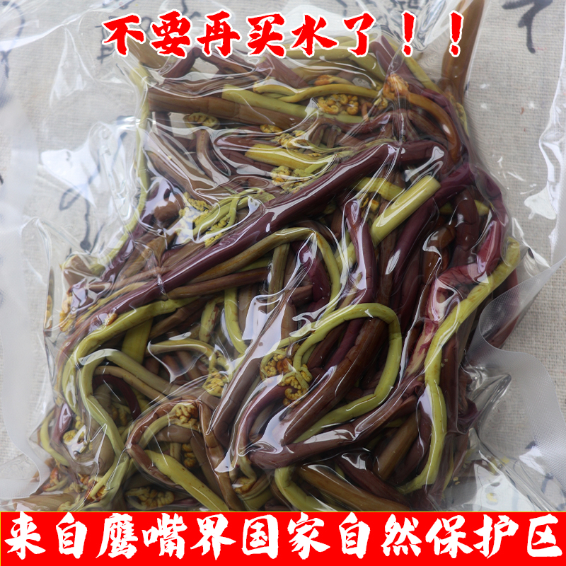 清水蕨菜新鲜凉拌菜火锅商用蕨菜10