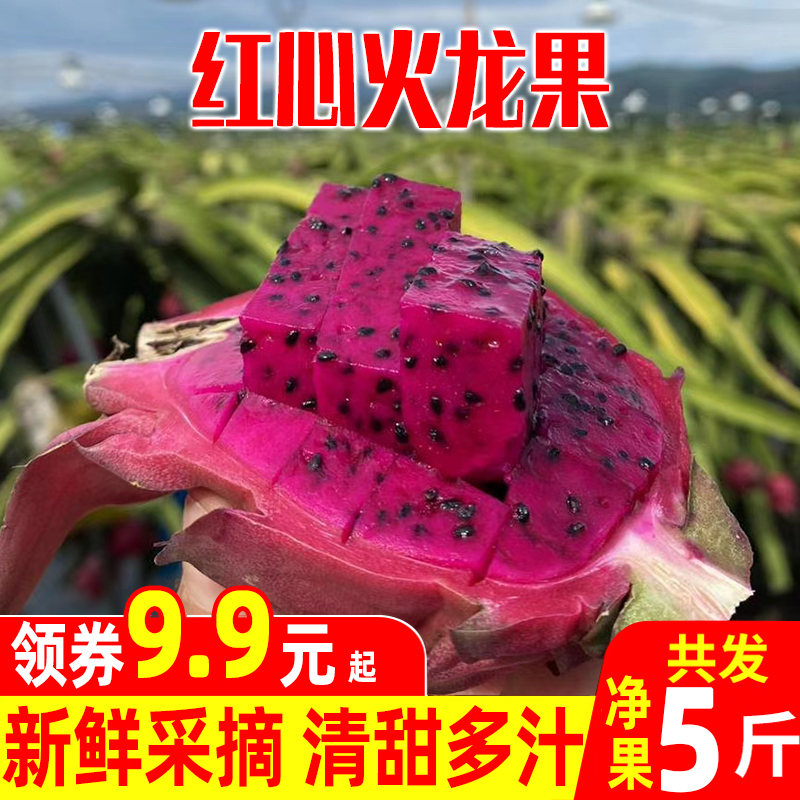 雲南紅心火龍果5斤裝小果新鮮水果紅肉非金都壹號實惠裝孕婦水果在類目 水產肉類/新鮮蔬果/熟食, 新鮮水果, 火龍果中 - 來自Buy2taobao.com提供專業的淘寶代購服務