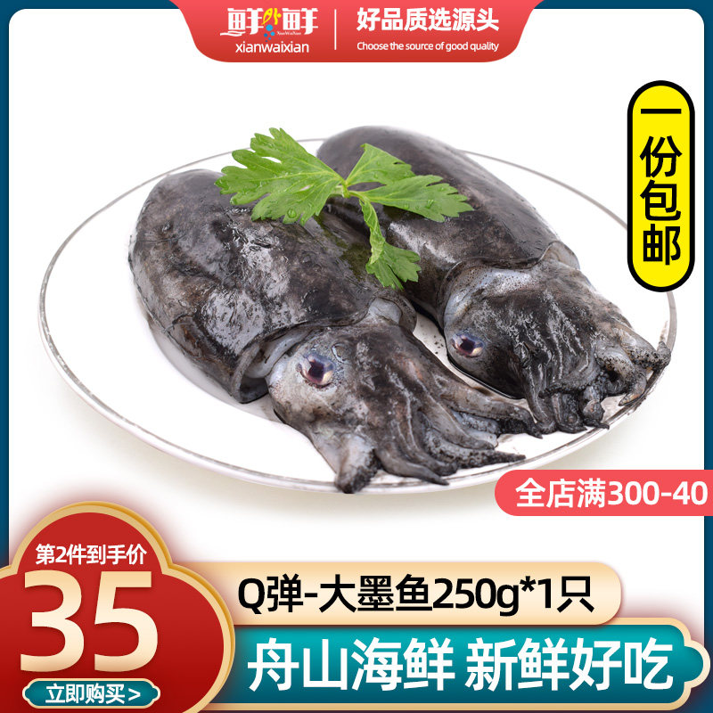 舟山新鲜大墨鱼 乌贼海兔花枝墨斗鱼仔目鱼鲜活海鲜水产500g包邮