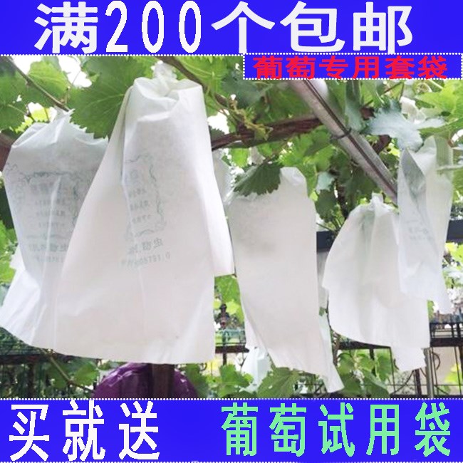 葡萄袋葡萄套袋梯形三角袋包装超套葡萄专用的纸袋子在类目 鲜花速递/花卉仿真/绿植园艺, 园艺用品, 其它园艺用品中 - 来自Buy2taobao.com提供专业的淘宝代购服务
