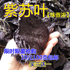 新货纯天然 双面紫 紫苏叶 紫苏干叶 海鲜 烧鱼虾去腥 100克 包邮