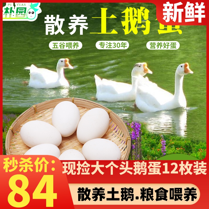 Normal delivery 12 A Goose Egg Orthodox school Farm Backyard Edan pregnant woman Large white Edanin the Aquatic meat/Fresh fruits and vegetables/Cooked , Egg/Egg Products , Fresh eggs , Edan category - from Buy2taobao.com to provide professional Taobao agent buy service
