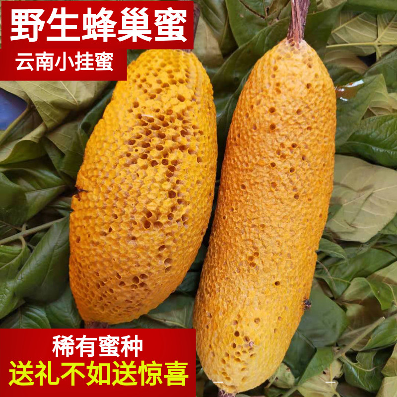 云南小挂蜜蜂巢蜜嚼着吃野生蜂蜜纯正天然百花蜜农家深山自然成熟