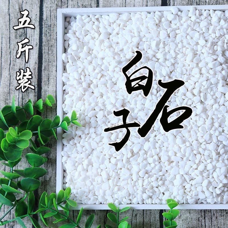 酒店小白石子垃圾桶沙石种植小彩石种花多肉盆盆栽小用彩石头盆。在类目 鲜花速递/花卉仿真/绿植园艺, 园艺用品, 其它园艺用品中 - 来自Buy2taobao.com提供专业的淘宝代购服务