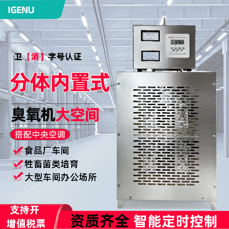 20g内置式中央空调臭氧消毒机食品厂仓库空气净化臭氧发生器