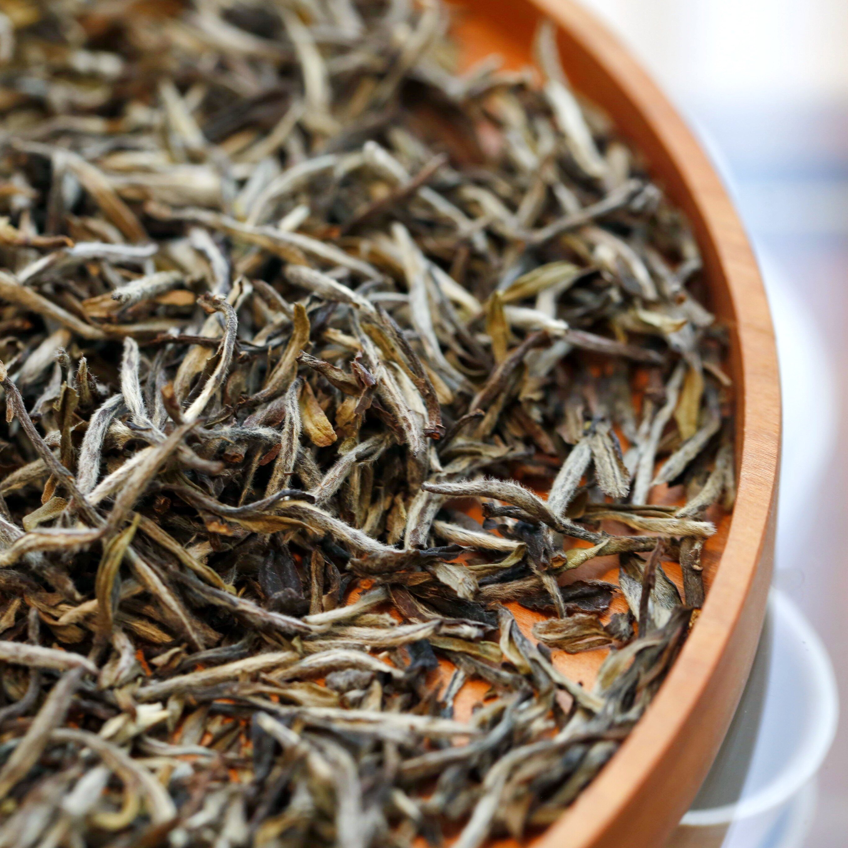 古树单株薄荷荷塘普洱茶普洱