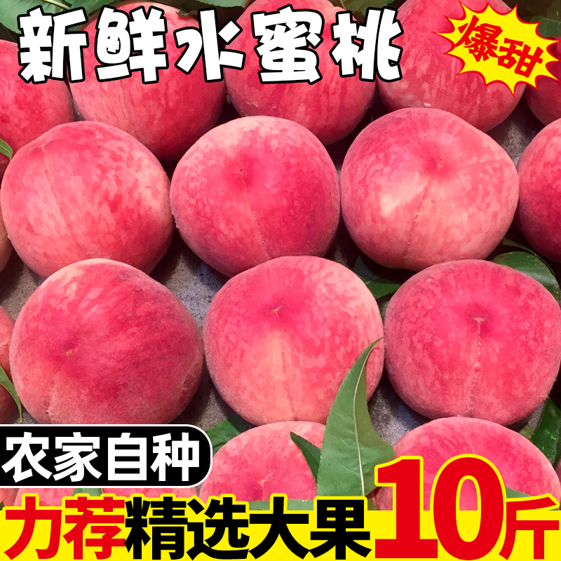 水蜜桃5斤桃子水果新鲜当季整箱应季