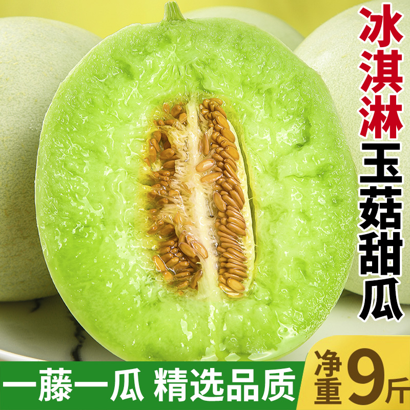 玉菇甜瓜10斤新鲜应季水果当季小香