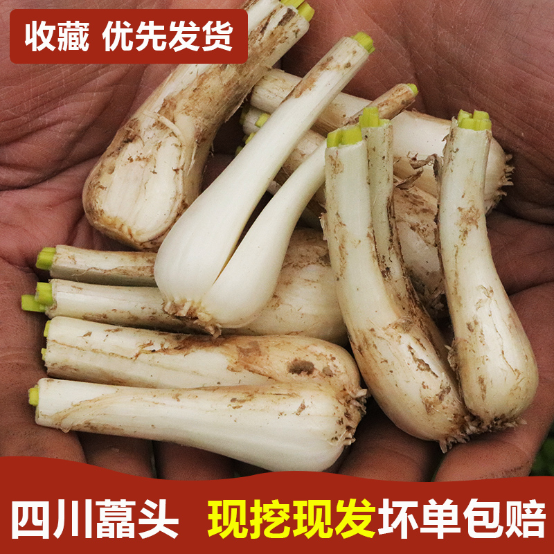 新鲜藠头去叶去根四川茭头农家应季蔬菜荞头种腌制茭头5斤包邮在类目 水产肉类/新鲜蔬果/熟食, 新鲜蔬菜/蔬菜制品, 新鲜蔬菜, 其它中 - 来自Buy2taobao.com提供专业的淘宝代购服务