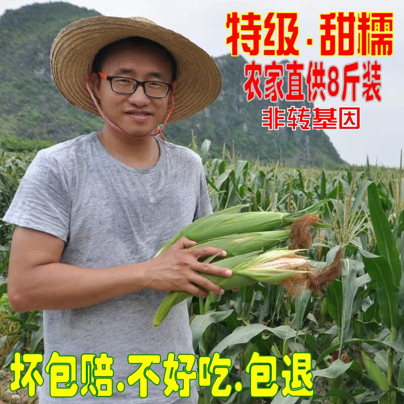 广西特产新鲜现摘粘黏香嫩玉米非转基因农家8斤装包邮甜糯玉米棒在类目 粮油米面/南北干货/调味品, 米/面粉/杂粮, 玉米中 - 来自Buy2taobao.com提供专业的淘宝代购服务