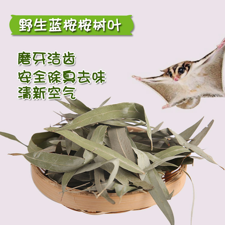 野生桉树叶50g蜜袋鼯蜜袋鼬除臭杀菌垫窝用品 小蜜干树叶磨牙洁齿在类目 宠物/宠物食品及用品, 仓鼠类及其它小宠, 饲料/零食中 - 来自Buy2taobao.com提供专业的淘宝代购服务