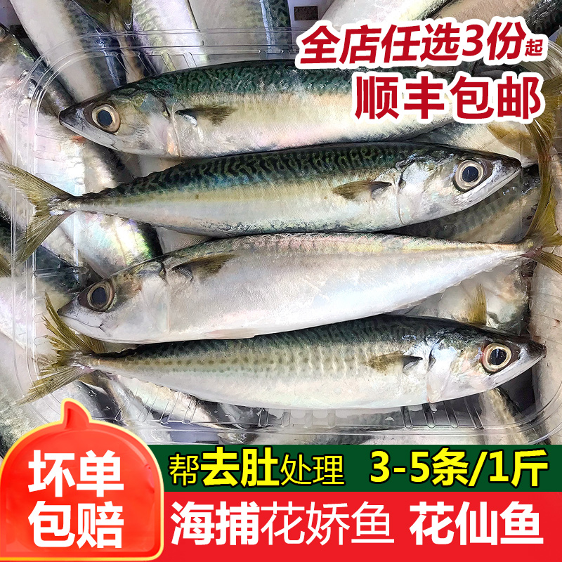 花仙鱼海捕花池鱼花胶鱼海鲜水产野生海鱼新鲜冷冻花娇鱼500g