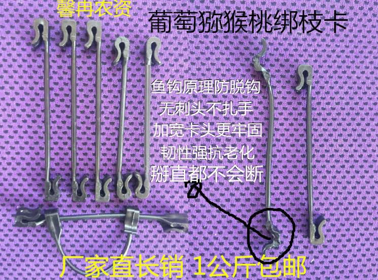 葡萄树绑枝卡子卡扣挂钩绑苗绑树棚架农用绑技枝条梨树树枝扣扎在类目 鲜花速递/花卉仿真/绿植园艺, 园艺用品, 其它园艺用品中 - 来自Buy2taobao.com提供专业的淘宝代购服务