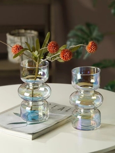 轻奢风小号玻璃花瓶透明插花水养北欧简约客厅餐厅桌面居家摆件品