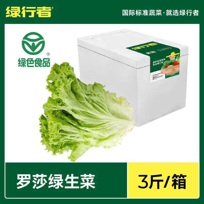 【绿行者】罗莎绿生菜生吃新鲜蔬菜沙拉食材脆嫩低脂轻食蔬菜3斤