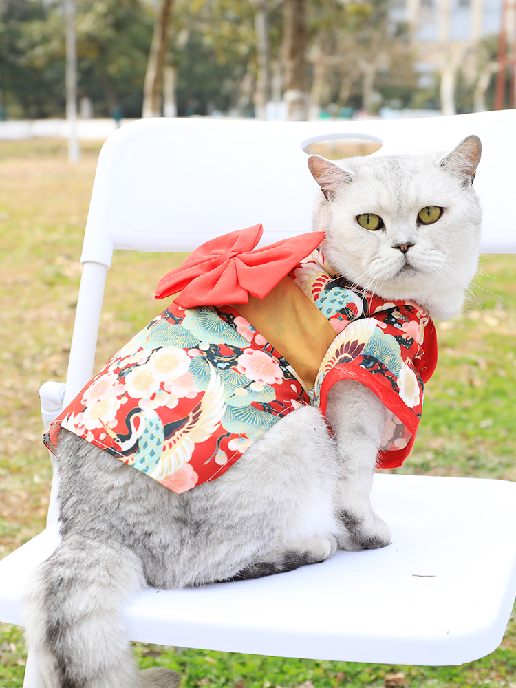 小樽の汤猫咪衣服薄款春秋款泰迪柴犬猫咪和服小型犬春装狗狗衣服