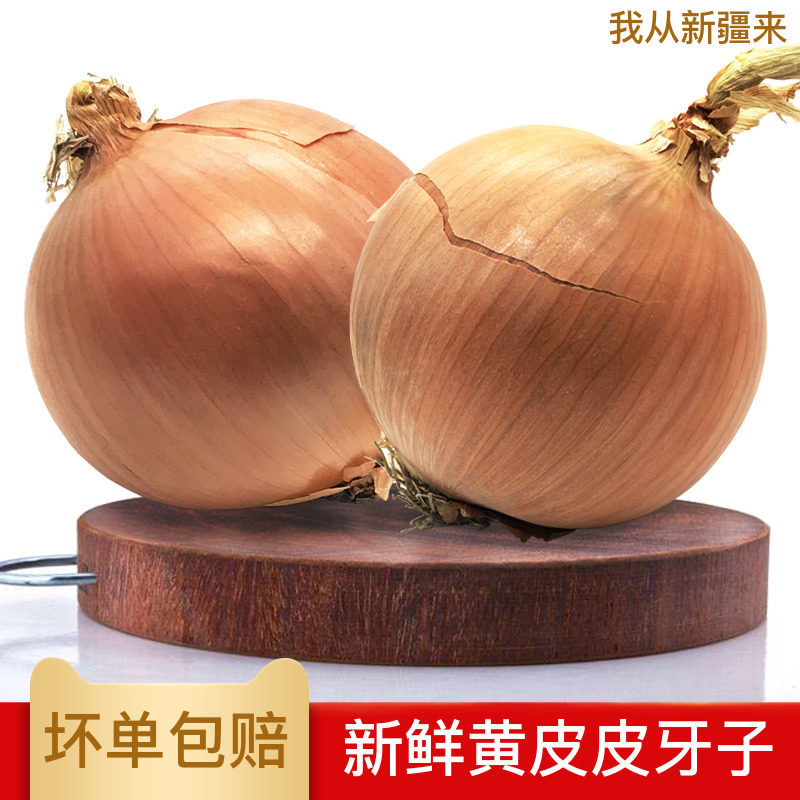 新疆特产黄皮牙子精选5斤 农家新鲜黄洋葱头脆嫩多汁清新提味圆葱