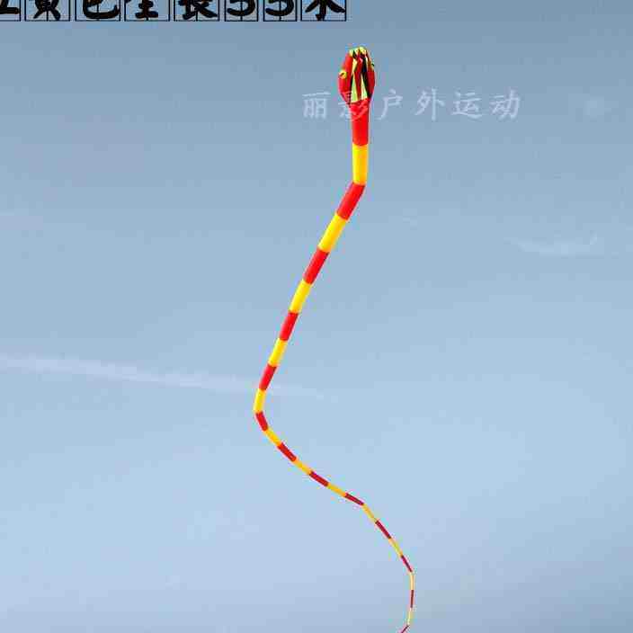 潍坊大型高档软体成人筒子蛇风筝微易飞抗大风立体三提线2020新款