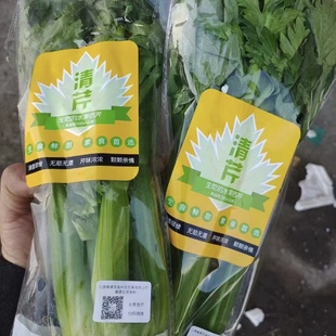 远东春生鲜 新鲜蔬菜 水果芹菜 清芹 一颗  京津冀满68包邮顺丰