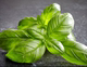 远东春生鲜 新鲜蔬菜 basil 罗勒叶 100克 京津冀满68包邮顺丰