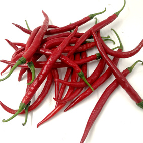 新鲜蔬菜小红椒红辣椒 新鲜辣椒红辣椒 带箱500g_慢享网