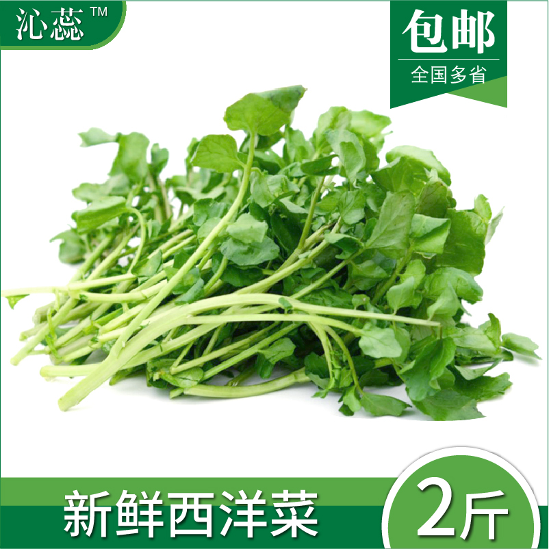 西洋菜
