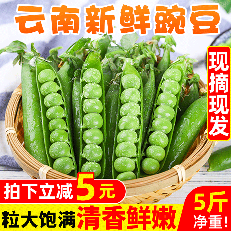 豌豆新鲜云南高原带壳青豆角脆甜水果