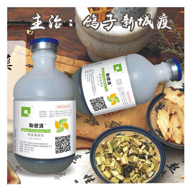 怡感清 鹦鹉鸽子新城疫特效药 拉稀绿粪扭脖子鸽瘟信鸽赛鸽感冒药