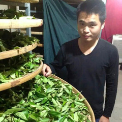 麻铝军的特级手工漳平水仙茶 乌龙茶新茶叶 茶农水仙茶饼 林博士