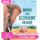 大象听到了什么？Sam Usher 插画 精装绘本 英文原版 What the Elephant Heard 四季 Seasons作者 自然系列