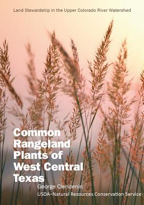 [预订]Common Rangeland Plants of West Central Texas 9781623493912