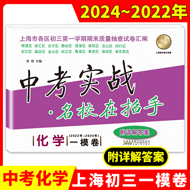 2024版上海中考实战一模卷 化学