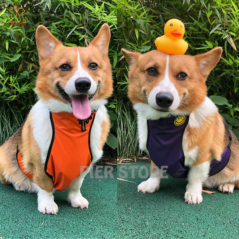 狗狗防水肚兜柯基腊肠可调节防脏防虫防着凉加绒加厚围兜护肚围裙|ruв категории животное/Животное питание и принадлежностей, одежды и аксессуаров для домашних животных, домашний костюм/плащ - от Buy2taobao.com для оказания профессиональной услуги покупки агента Taobao