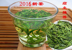 头采茶2016年新茶明前春茶雀舌绿茶特级/散装头采雀舌茶叶50g