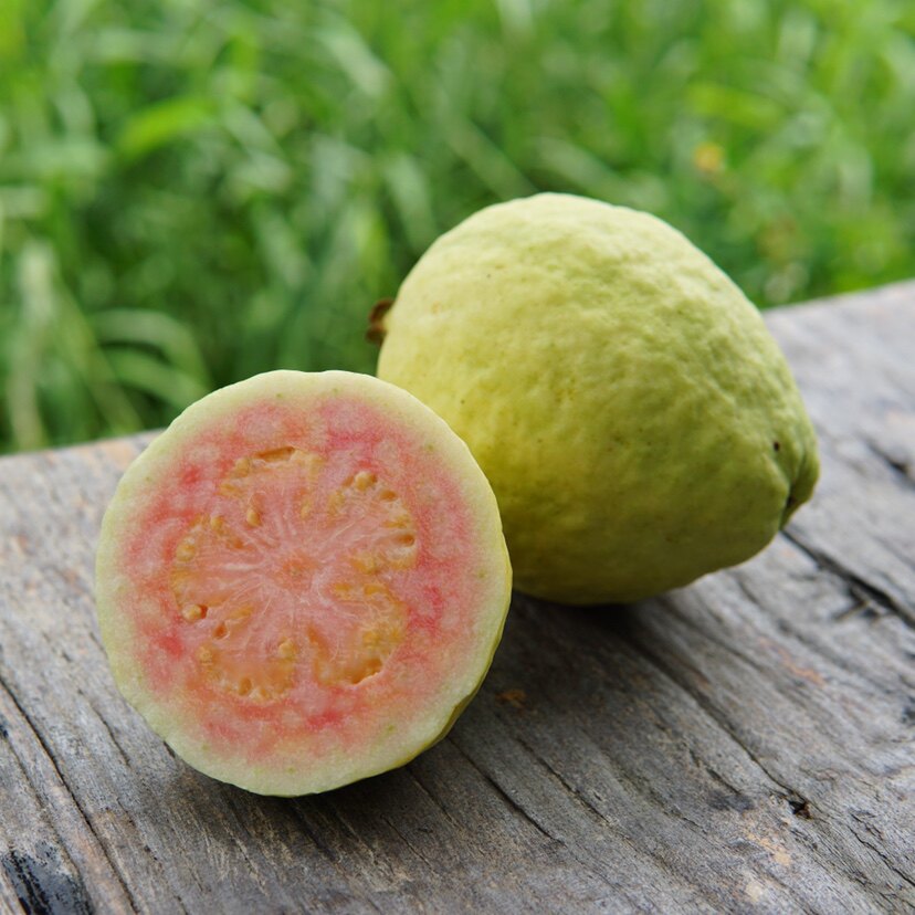 芭乐大全——其他用品