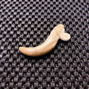 猛犸小牙尖价格