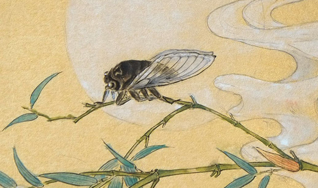 林曦工笔花鸟画作品-《蝉》