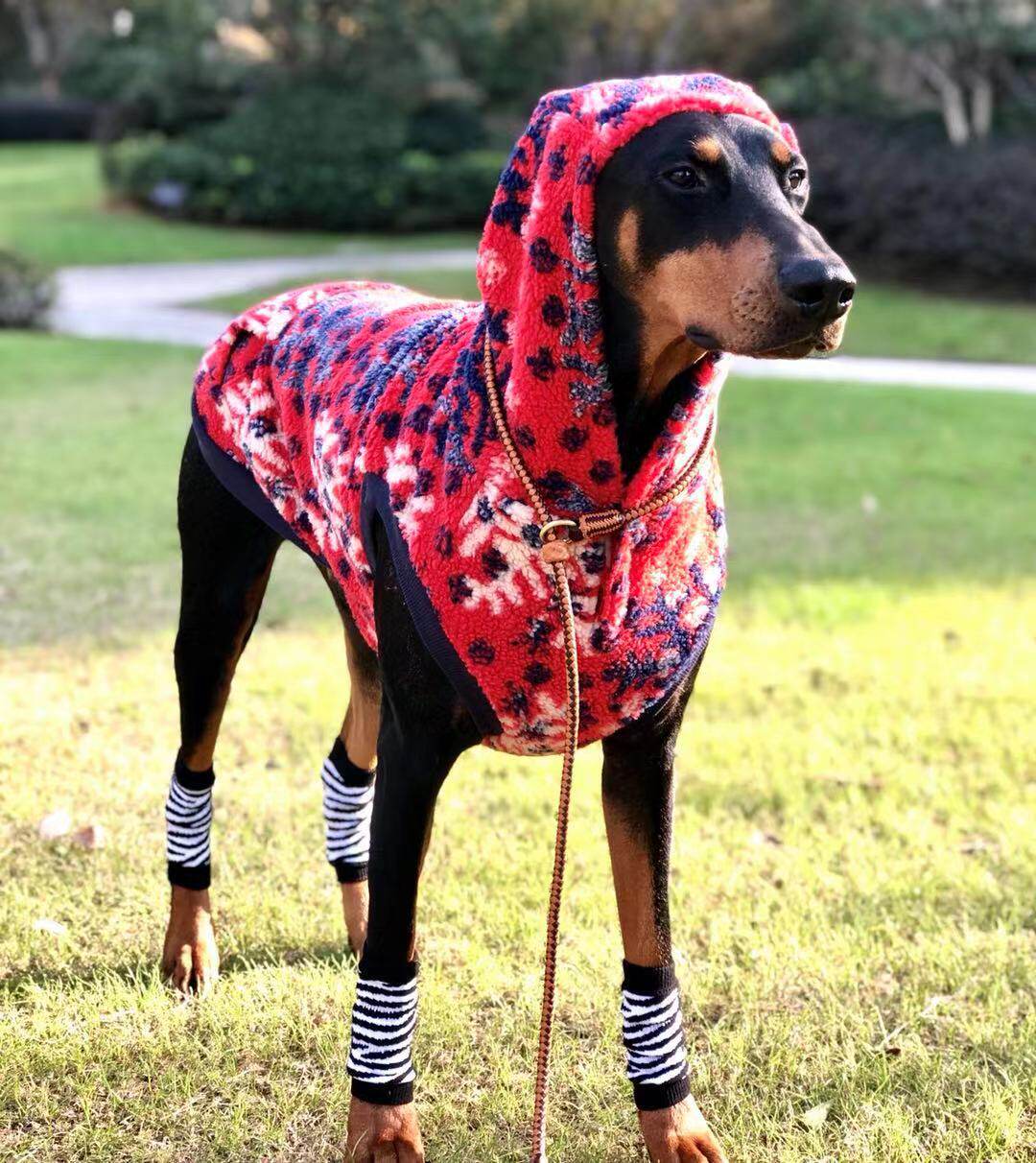 一折金毛圣诞衣服