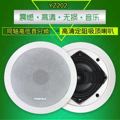 YZ-202定阻吸顶喇叭背景音乐HIFI音箱同轴分频吊顶音响4寸8欧20W