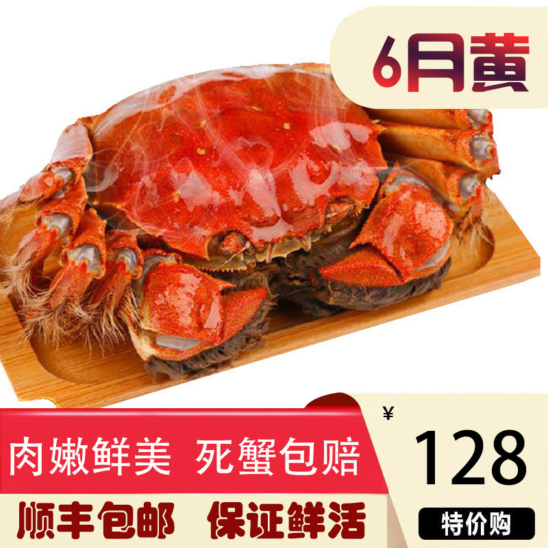 裸重净重大闸蟹六月黄香辣蟹面拖蟹鲜活特大螃蟹12只水产礼盒装|ruв категории водной мясо/свежие фрукты и овощи/еда, морепродукты/водные продукты/изделия, краб, краб - от Buy2taobao.com для оказания профессиональной услуги покупки агента Taobao