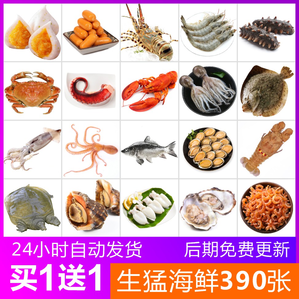 超市海鲜海报图片鱼类大龙虾扇贝壳海参三文鱿鱼美食素材800像素