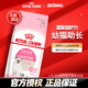皇家猫粮幼猫粮K36猫奶糕品牌官方英短营养旗舰店2kg实惠装