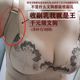 高端品牌磁疗文胸诗意美娜女人聚拢收副乳伊佳矫正调整型尼丝内衣