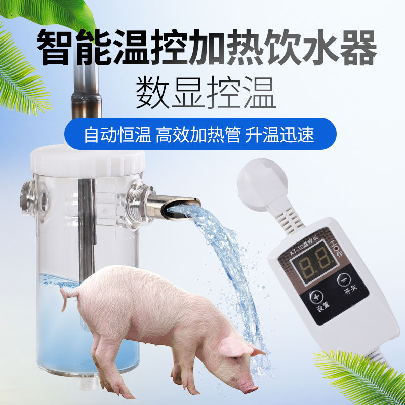 山羊仔猪恒温加热饮水器保育猪小猪母