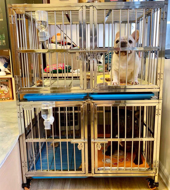 折叠乐佳佳四门双层笼不锈白钢宠物狗笼子宠物店寄养医院犬舍犬笼
