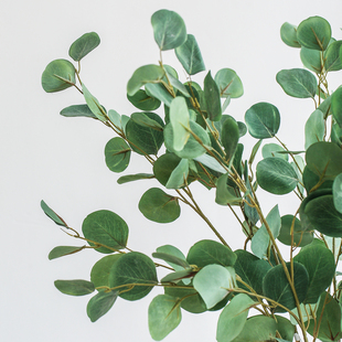 北欧风格ins纸袋尤加利叶仿真花摆件家居客厅假花仿真植物摆设品