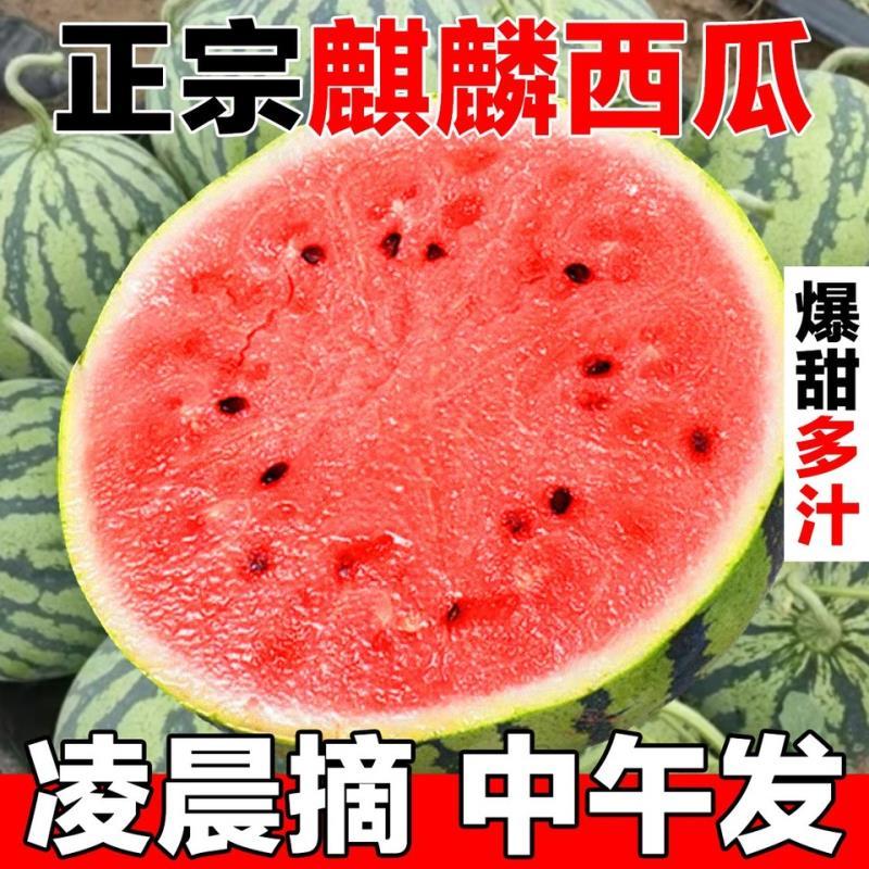 云南现摘麒麟西瓜应季新鲜脆甜解渴薄