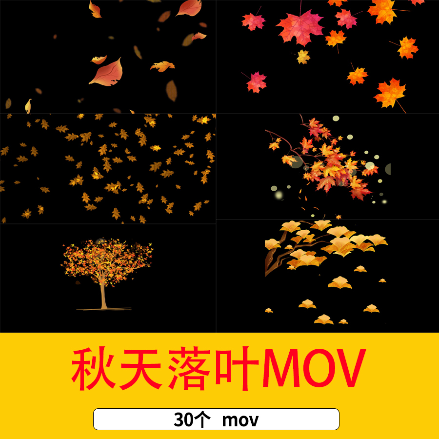 秋天落叶枫叶银杏叶飘落后期特效mov通道视频黄色落叶漂浮视频