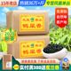 健韵阁 鸭屎香 春茶潮州凤凰单丛茶 乌龙茶凤凰单枞茶 单枞茶500g